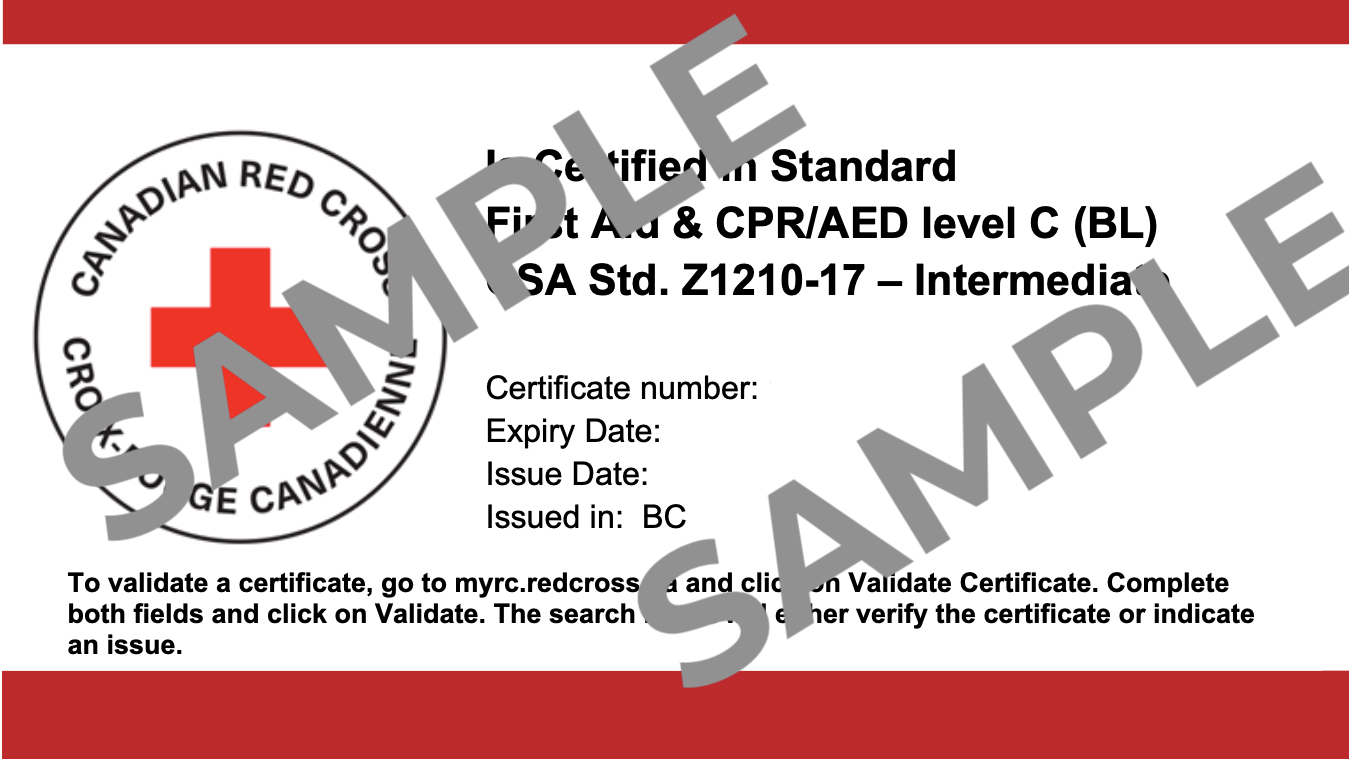 Fast-Track Certificate (Emailed Within 4 Hrs)